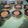 Cooksnap dari Asriana Rara untuk resep Puding Regal 3 Lapis