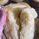 Cooksnap dari Fernia Noelesa untuk resep Bluder Poolish Recipe by Moucup