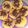 Cooksnap dari Indah Rahmawati untuk resep Pukis labu kuning