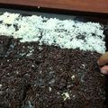 Cooksnap dari meiriskha untuk resep Best Chocolate Cake Ever! (no mixer, no egg, no butter, no milk)