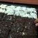 Cooksnap dari meiriskha untuk resep Best Chocolate Cake Ever! (no mixer, no egg, no butter, no milk)