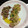 El cooksnap de judit cuando hizo Chipirones a la plancha, con picada de ajo y perejil.