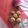 Reena Verbey's cooksnap of when they made Til laddu/sesame seeds laddu.