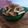 El cooksnap de Izaskun Ferreiro Inza cuando hizo Picatostes caseros de ajo y perejil.