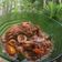 Cooksnap dari Nisa Yuliana untuk resep #07 Cumi oseng cabe ijo