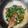 Cooksnap dari meme untuk resep Tumis sayur Pakcoy