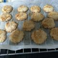 Samantha 的 核桃酥~植物油版 cooksnap