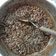 El cooksnap de Pablo Zaltz cuando hizo Trufas de Avena.