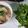 Cooksnap của Nguyễn Vương Anh khi họ làm theo món Bún giả cầy