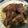 Cooksnap dari Fongling Natalia untuk resep Honey-Glazed Chicken Wings