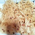 Cooksnap dari Nina Marlina untuk resep Rempeyek kacang tanah gurih dan renyah