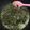 Cooksnap dari Ety Riswandono untuk resep Sayur Daun Singkong (Bobor)