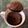 El cooksnap de Yong cuando hizo Mug cake saludable.