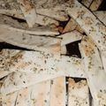 El cooksnap de Maria Angeles Silva cuando hizo Talitas Saborizadas 🧀 🍃🧂.