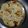 Deepali Kaur's cooksnap of when they made Suji ka Chila.