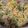 Angela's cooksnap of when they made Ruby Tuesdays Broccoli salad.