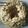 Meena Parajuli's cooksnap of when they made Ghevar.