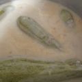 Cooksnap από Κατερίνα Καστρινάκη στη συνταγή Κολοκυθάκια γεμιστά με κρέμα αυγολέμονο
