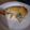Dani Swanger's cooksnap of when they made Quick and Easy Chicken Pot Pie!!!.