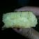 Cooksnap dari Rolla Fristantuluni untuk resep Martabak lenggang anti gagal