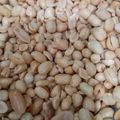 Cooksnap dari Rosma Basuki untuk resep Kacang Bawang Renyah Dan Gurih