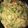 kellikel2's cooksnap of when they made Cajun shrimp pasta w/ broccoli.