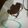 El cooksnap de LiAn cuando hizo Galletas de oreo caseras.