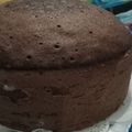 Cooksnap dari Rieza Wardha Firdaus untuk resep Bolu Kukus Ekonomis (Bisa Buat Tart)