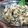 朱承恩 的 超簡易上海菜飯[電子鍋版] cooksnap