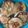 Bernice Dansbury's cooksnap of when they made Loaded Potato Pancakes.