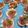 El cooksnap de SkyWalterWhite cuando hizo Vieiras con bacon y cebolla.