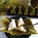 Cooksnap dari Mak Win untuk resep NagaSari