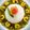Shilpi Mitra's cooksnap of when they made চিচিঙ্গা চিংড়ি.