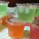 Cooksnap dari ȿɨƮą untuk resep Puding nutrijel cup untuk jualan