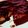 El cooksnap de Leslie Lopez cuando hizo New York cheesecake.
