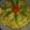Jyoti Bansal's cooksnap of when they made Ratalu sabudana khichdi.