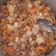 El cooksnap de walter vargas cuando hizo Arroz con pollo en la plancheta.