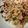 Cooksnap Dr. Zie Azizah semasa beliau membuat Nasi goreng china (Yangzhou).