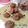 Cooksnap dari DME untuk resep Brown Sugar Choco Chips Cookies