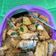 Cooksnap dari Rahayu lestari untuk resep Semur bandeng soun