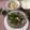 Cooksnap dari emilia hanasari untuk resep Vietnamese Noodles - Pho Tai Chin Gan
