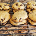 Ryan N Lisa's cooksnap of when they made Best Chocolate Chip Cookie.