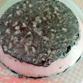 El cooksnap de MGaly cuando hizo Gelatina de galleta oreo.