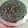 El cooksnap de MGaly cuando hizo Gelatina de galleta oreo.