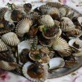 Cooksnap dari JinJin Gina Tendean untuk resep Kerang Dara Goreng Pedas