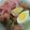 Cooksnap dari Dhian Astrid Febrinasari untuk resep Sroto Sukaraja