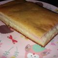 El cooksnap de Piki cuando hizo * Torta de fiambre licuada *.