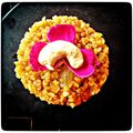 Purvi Baxi's cooksnap of when they made ફાડા લાપસી (Fada Lapsi Recipe In Gujarati).