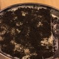 Yeh Maxine 的 免烤箱冷藏點心~椰香鮮奶雪花糕(影片) cooksnap