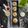 Deepa Rupani's cooksnap of when they made Sago Momos/Tapioca dumplings.